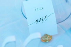 January-wedding-15