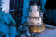 January-wedding-16