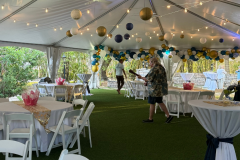 Palm-Island-Event-Outdoor-Tent-Decorations