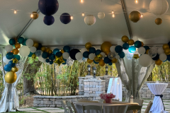 Palm-Island-Event-Outdoor-Tent-Decorations