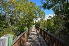 Palm-Island-Boat-Path