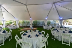 Palm-Island-Event-Setup