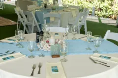 palm-island-wedding-photos-258