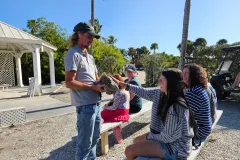 iguanaland-palm-island-resort