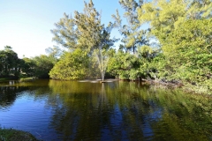 pond