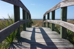 wooden bridge