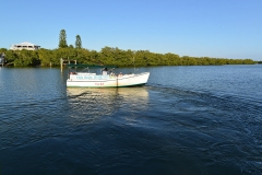 water-taxi-2