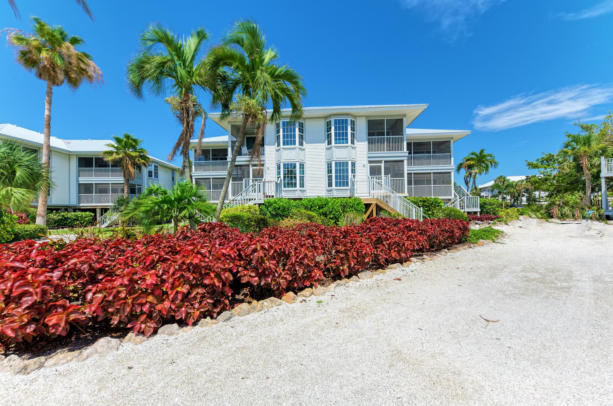 beach-house-condos-palm-island
