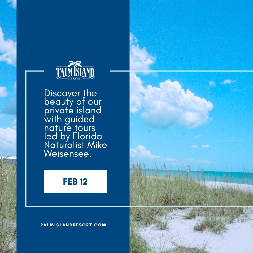 A promotional graphic showcasing Palm Island Resort’s nature tours with Florida Naturalist Mike Weisensee, featuring a serene private beach under a blue sky.