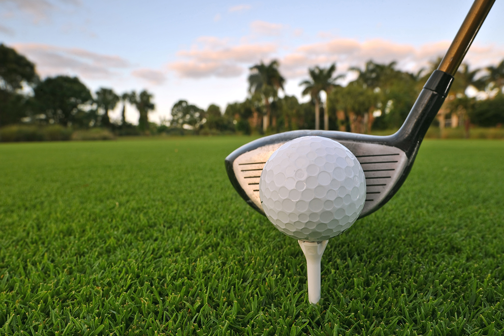Close up view of golf ball near Palm Island Resort Florida with palm trees in background