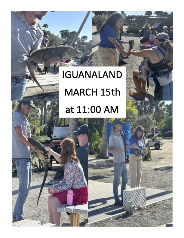 iguanaland-at-palm-island-resort-march-15