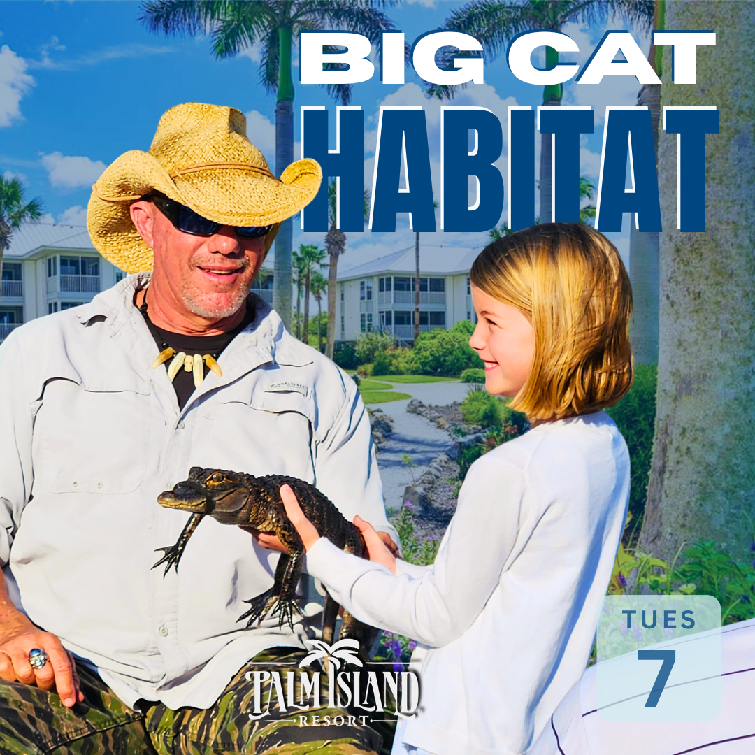 big-cat-habitat-at-palm-island-resort-july-7