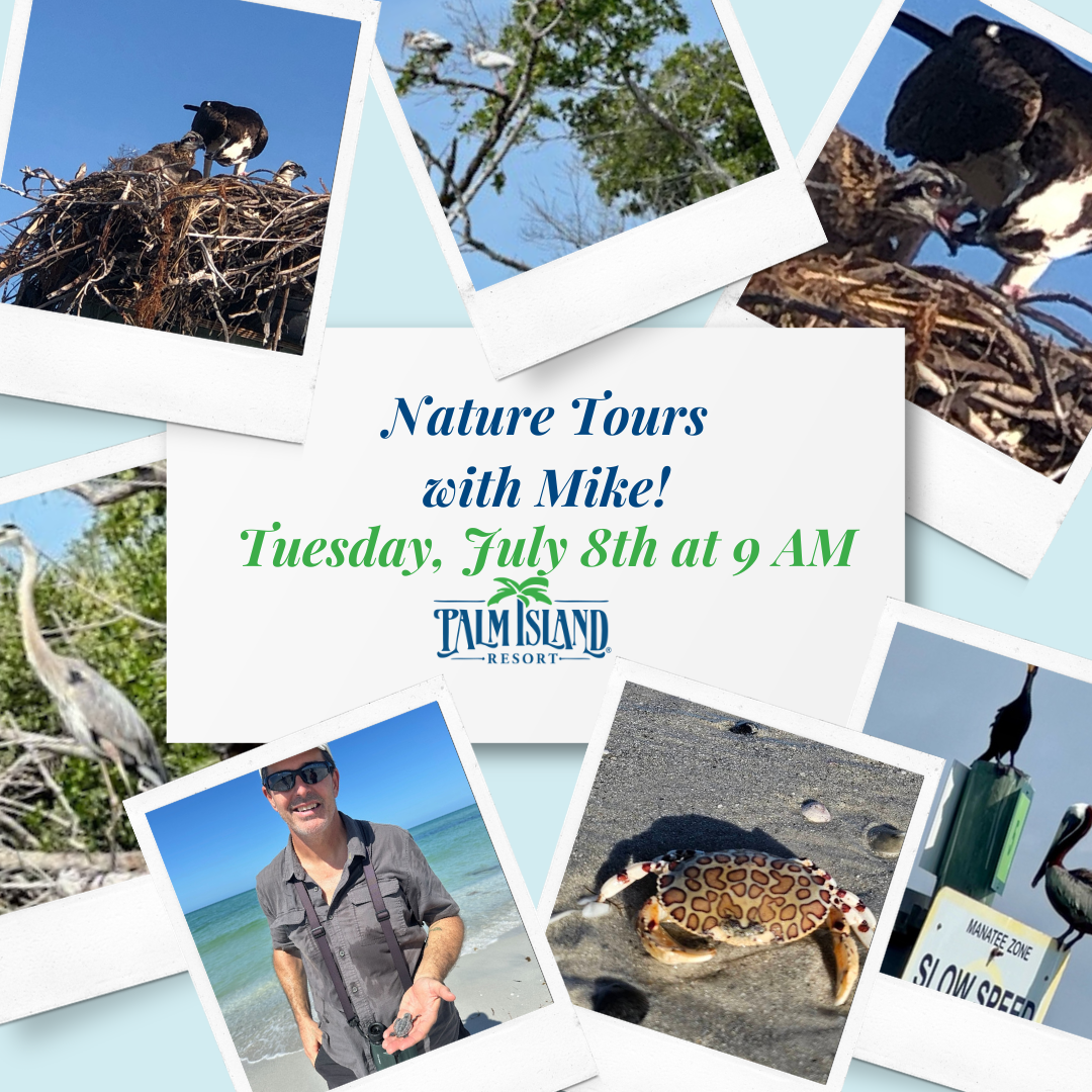 palm-island-resort-nature-tour-july-1