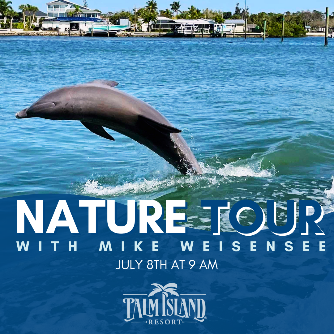 palm-island-resort-nature-tour-july-8
