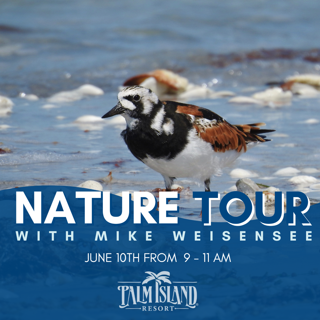 palm-island-resort-nature-tour-june-10-at-9AM