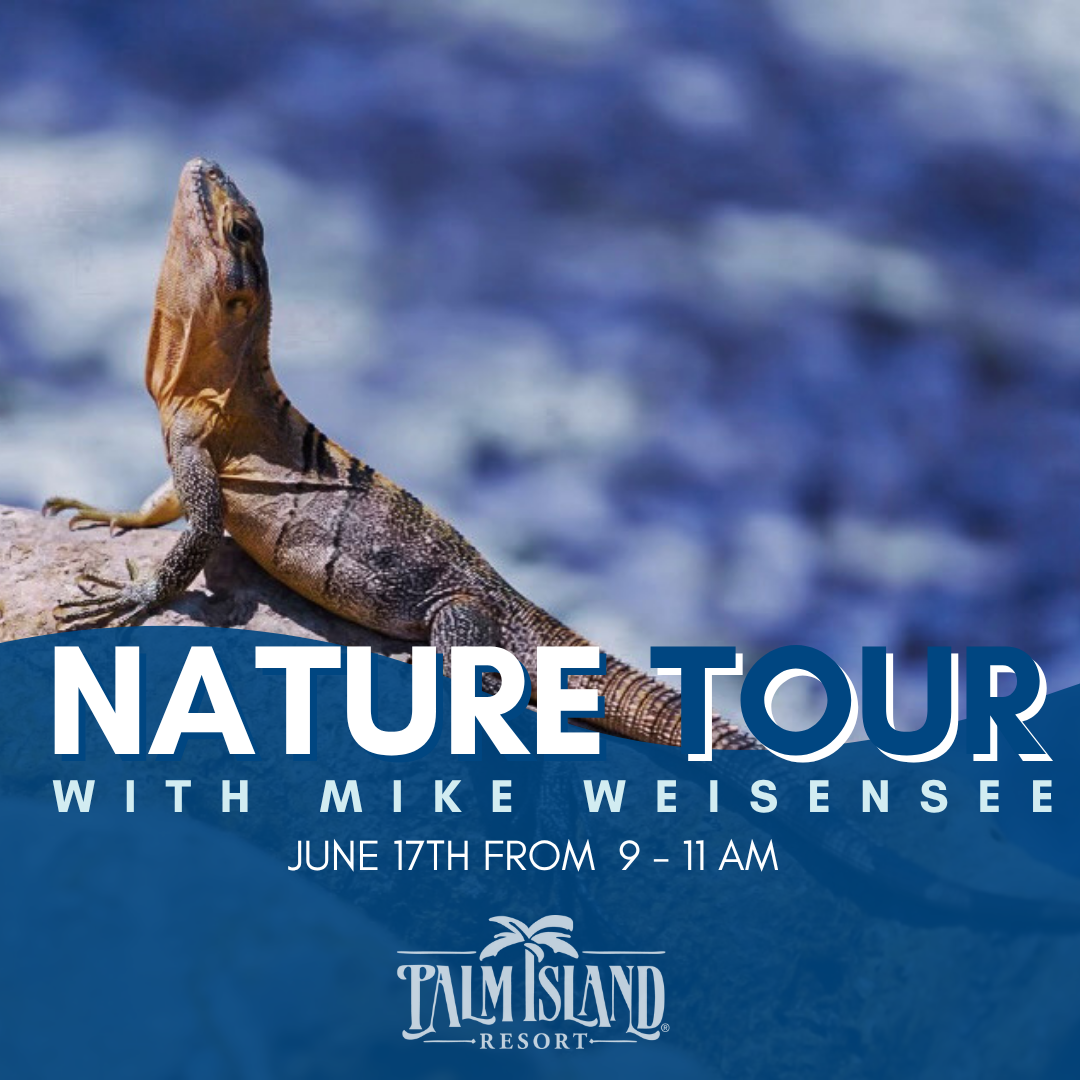 palm-island-resort-nature-tour-june-17-at-9AM