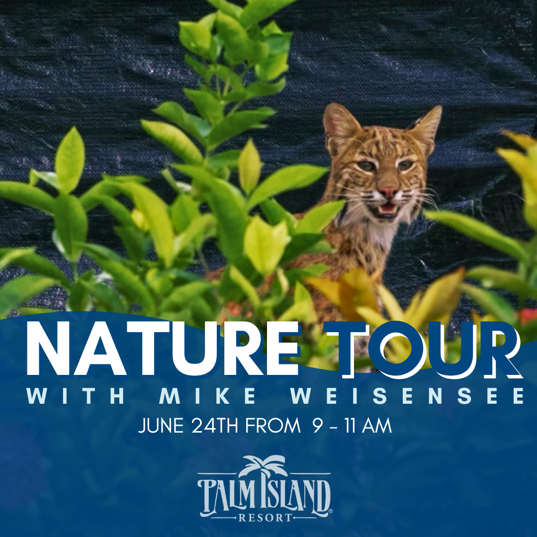 palm-island-resort-nature-tour-june-24-at-9AM