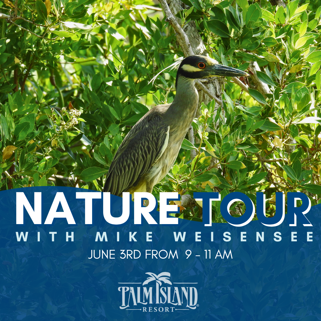 palm-island-resort-nature-tour-june-3