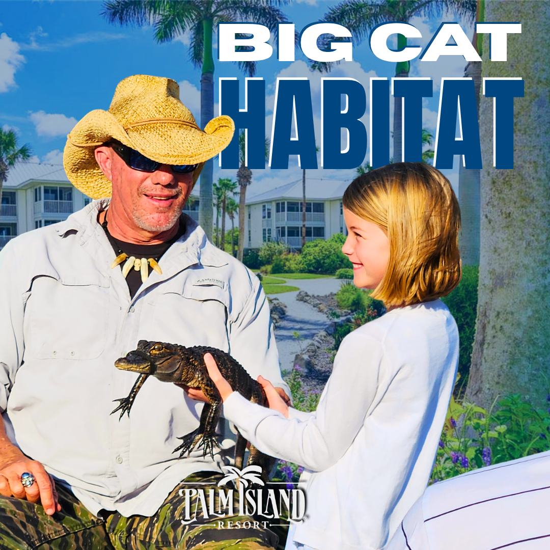 palm-island-resort-big-cat-habitat-event